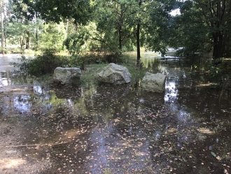 Cesta k řece se začala plnit.